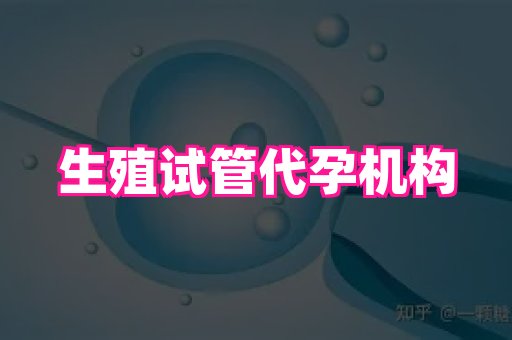 武汉助孕网站 1