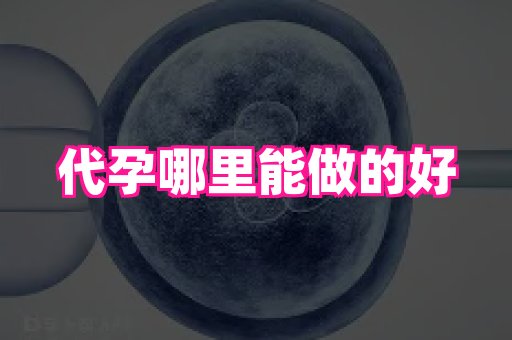 武汉助孕网站 2